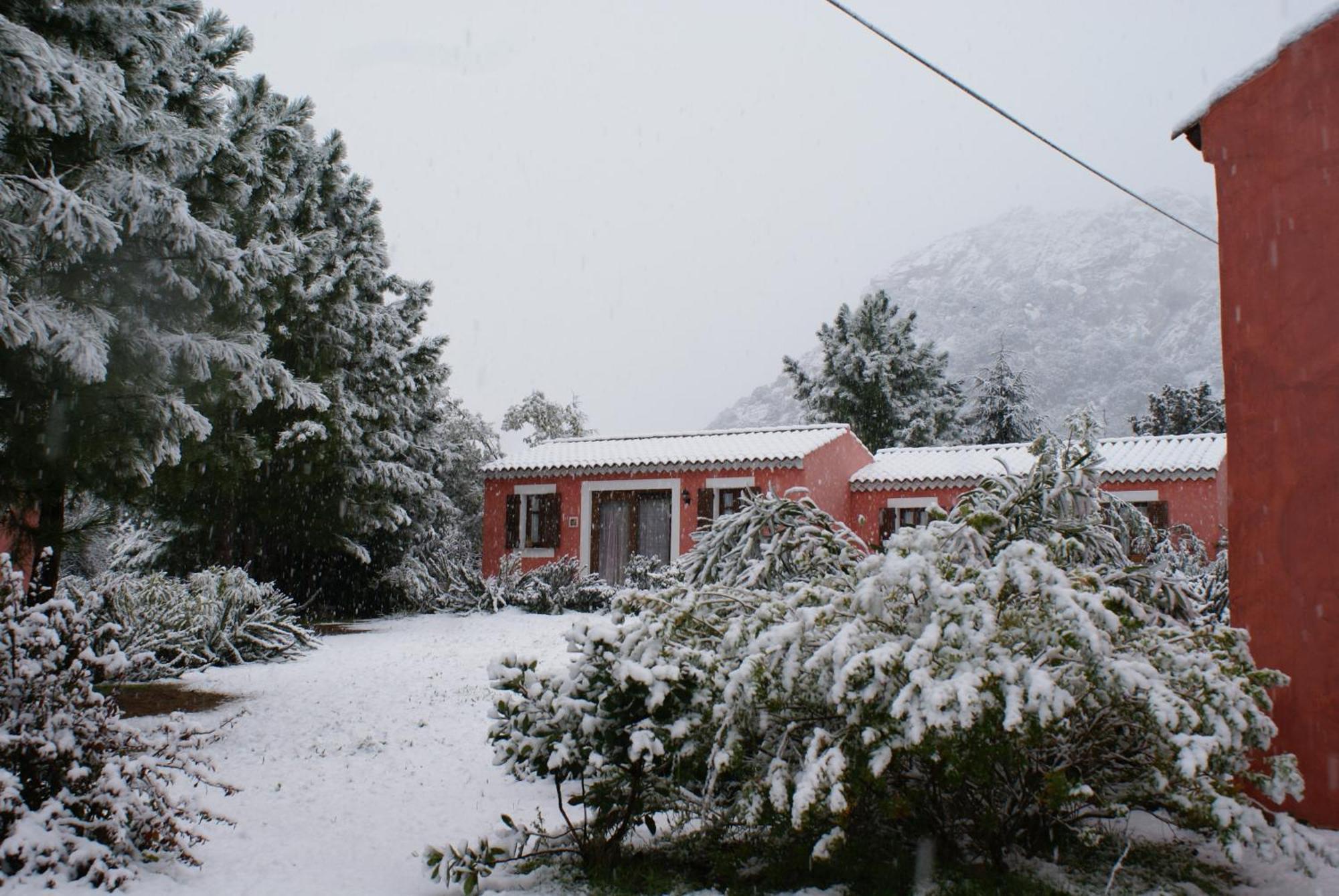 Agriturismo L'Aglientu B&B Loiri Porto San Paolo Exterior photo